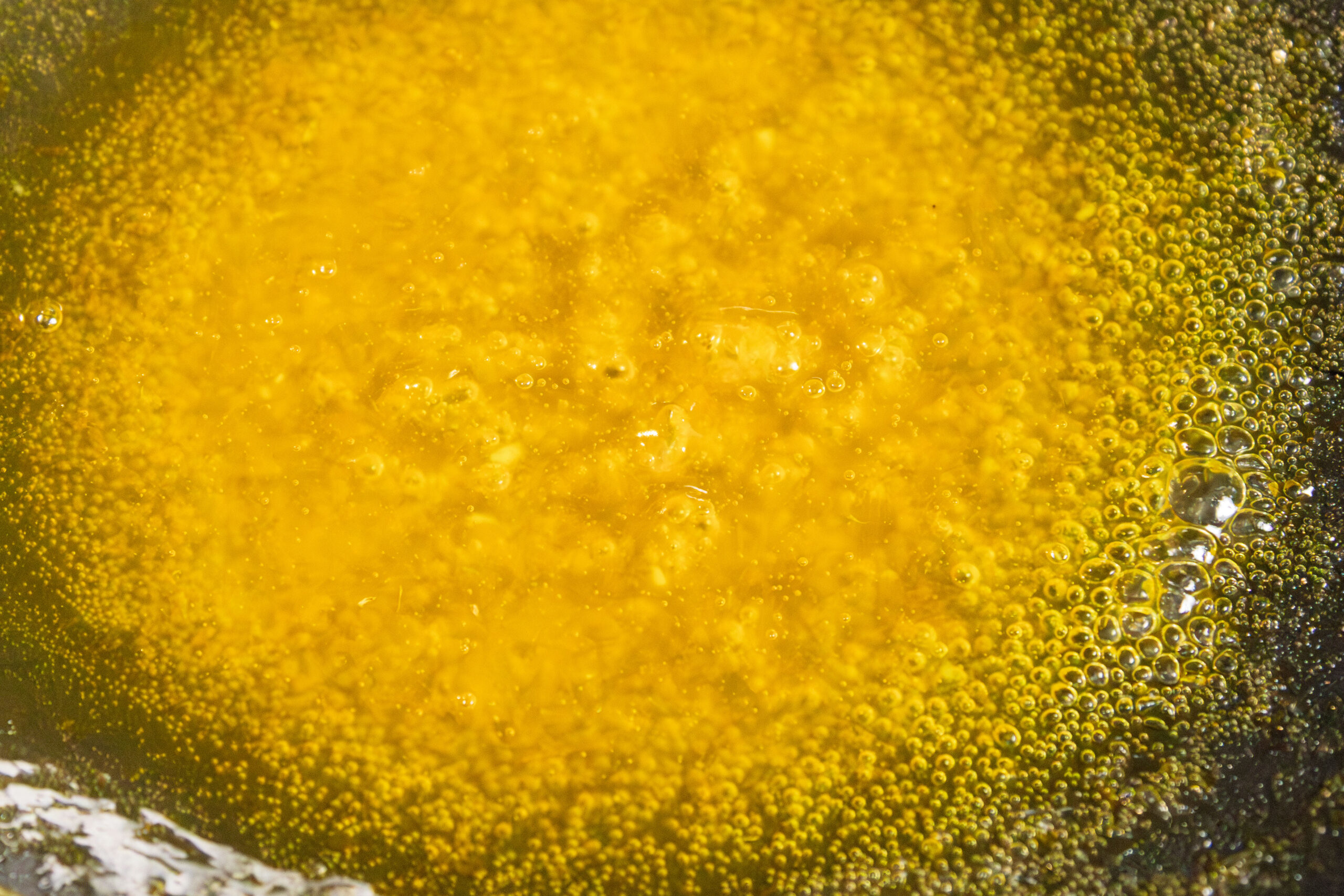 Close-up of oil being heated in a pan, with visible bubbles forming on the surface, indicating the oil is hot and sizzling.